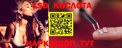 ГАЛЛЮЦИНОГЕННЫЕ ГРИБЫ Коммунар