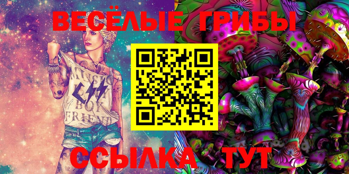 где продают наркотики  Вход с VPN  Клинцы  Галлюциногенные грибы Cubensis 