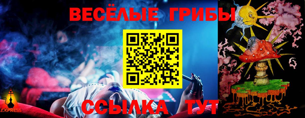Псилоцибиновые грибы Psilocybe Клинцы